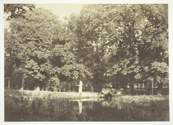 Sans titre, vers 1850. [Arbres près de l