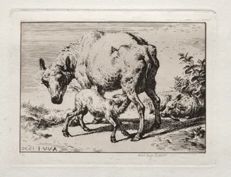 La brebis avec deux agneaux