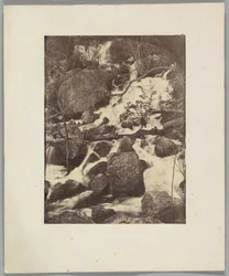 [Arbres et cascades]