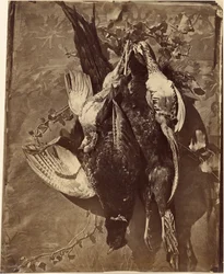 [Nature morte de gibier à plumes]