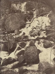 [Arbres et cascades], 1860-65