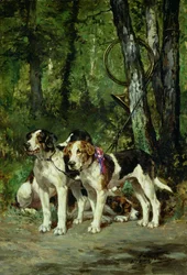 Une meute de chiens