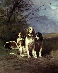 Chiens au repos