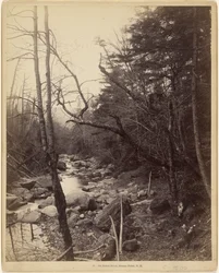 Sur la rivière Baker, Breezy Point, N.H.