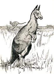Le kangourou, 1912