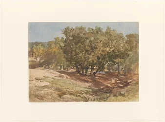 Vue de Beekhuizen, sur le Zijpenberg