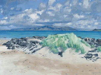 Roches et herbes, Iona, 2013 (huile sur toile)