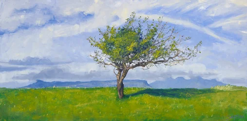 Arbre de la côte ouest, 2015 (huile sur toile)