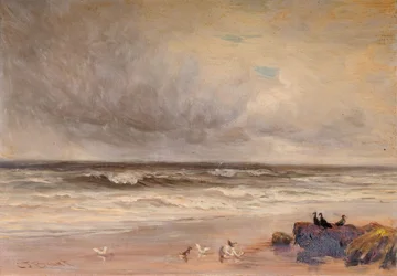 Côte de mer
