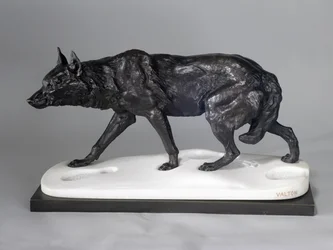 Loup traquant dans la neige