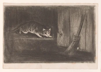 Chat et souris