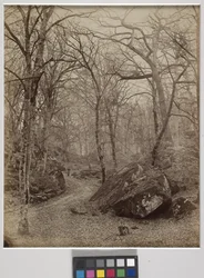 Fontainebleau, c.1870