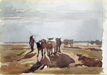Les bœufs