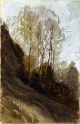 Arbres