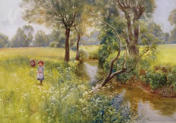 Cueillette de fleurs d