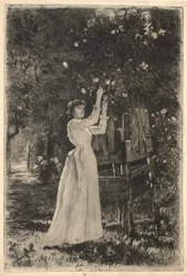 Une jeune femme cueillant des fleurs d