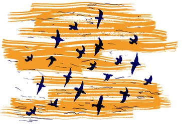 Oiseaux en vol
