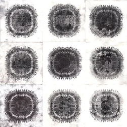 Cellules végétales, 2019