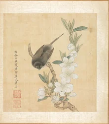 Un oiseau et une branche de pêcher en fleur