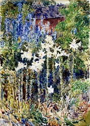 Un jardin de fleurs