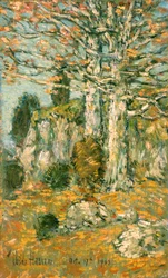 Paysage Arboré