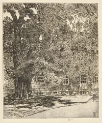 Orme géant, 1929