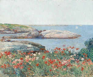 Coquelicots, Isles of Shoals