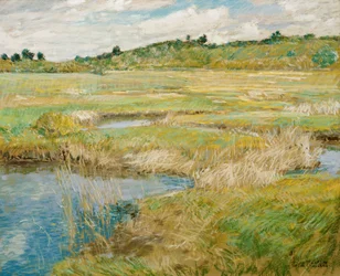 La prairie de Concord