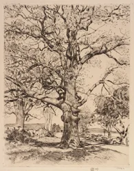 Wayside Inn Oaks à Spring