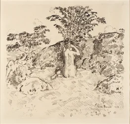 Cerisier sauvage