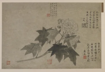 Branche de pivoine arbustive, possiblement dynastie Qing