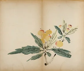 Impressions du Studio des Dix Bambous, 1643