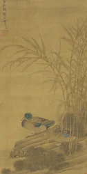 Deux canards parmi les roseaux au bord de l