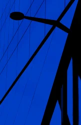 Silhouette bleu électrique