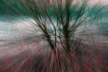 Une explosion de nature.