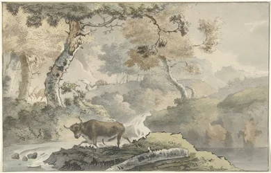 Paysage forestier avec un taureau