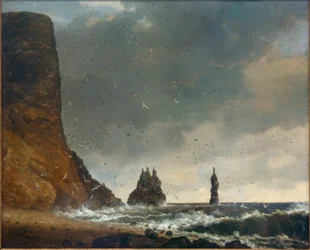 Paysage côtier rocheux en Islande