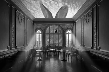 La chambre du lapin géant