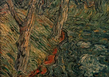 Arbres au bord de la rivière