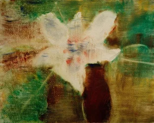 Fleur de magnolia