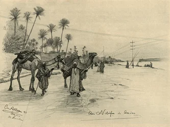 Conducteurs de chameaux sur les rives du Nil à Assouan, Égypte, 1898
