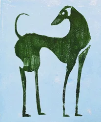 Un chien du désert plein d
