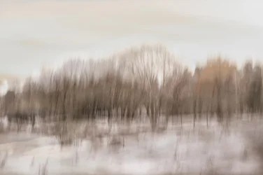 Reflet flou dans la forêt