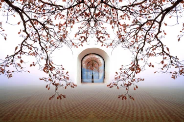 Une arche d