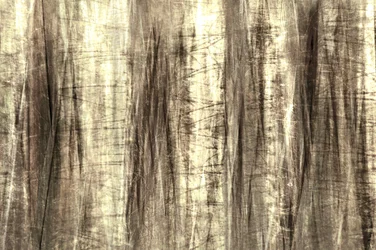 Les lignes de la forêt enchantée