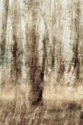 Mouvement de la forêt enchantée