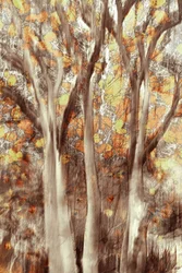 Forêt d