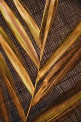 Feuilles de palmier dorées
