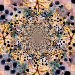 Kaléidoscope organique complexe