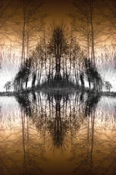 Le lac de la Forêt Miroir
